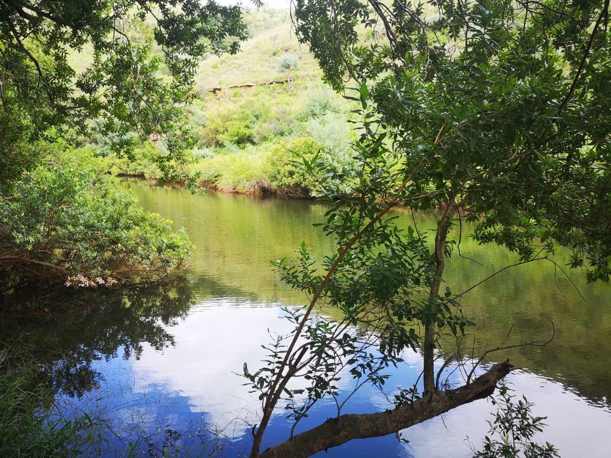 Treur River Lodge Moremela 外观 照片