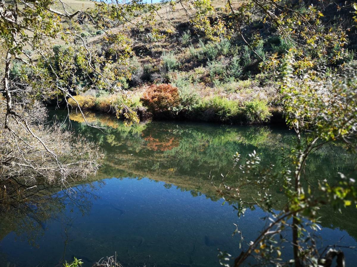 Treur River Lodge Moremela 外观 照片