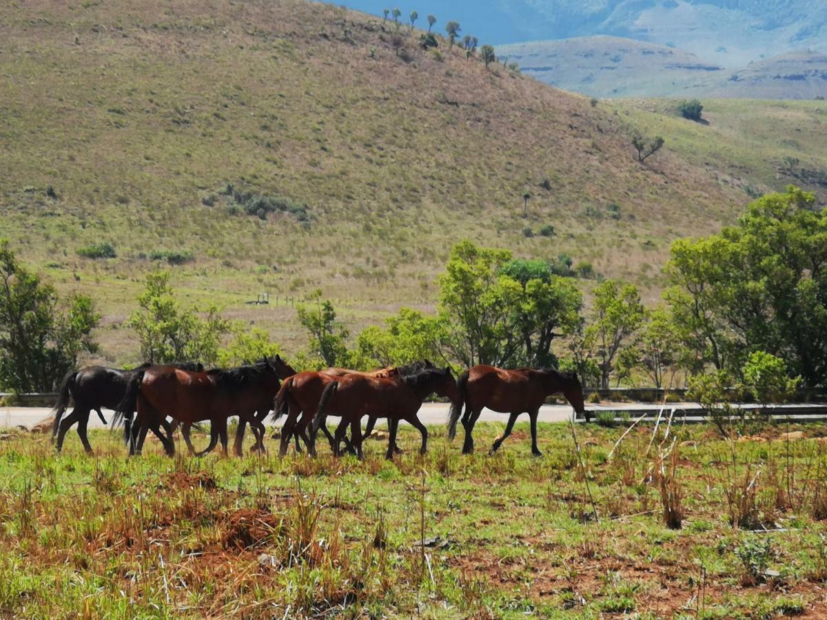 Treur River Lodge Moremela 外观 照片